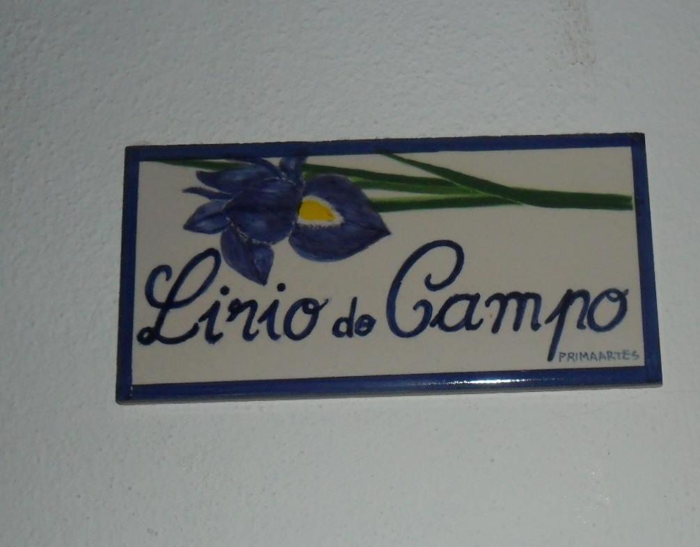 Apartamentos Bau-Doce Cercal do Alentejo Εξωτερικό φωτογραφία