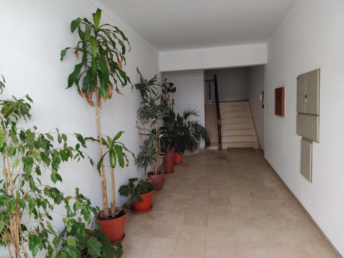 Apartamentos Bau-Doce Cercal do Alentejo Εξωτερικό φωτογραφία