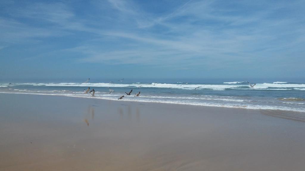 Apartamentos Bau-Doce Cercal do Alentejo Δωμάτιο φωτογραφία