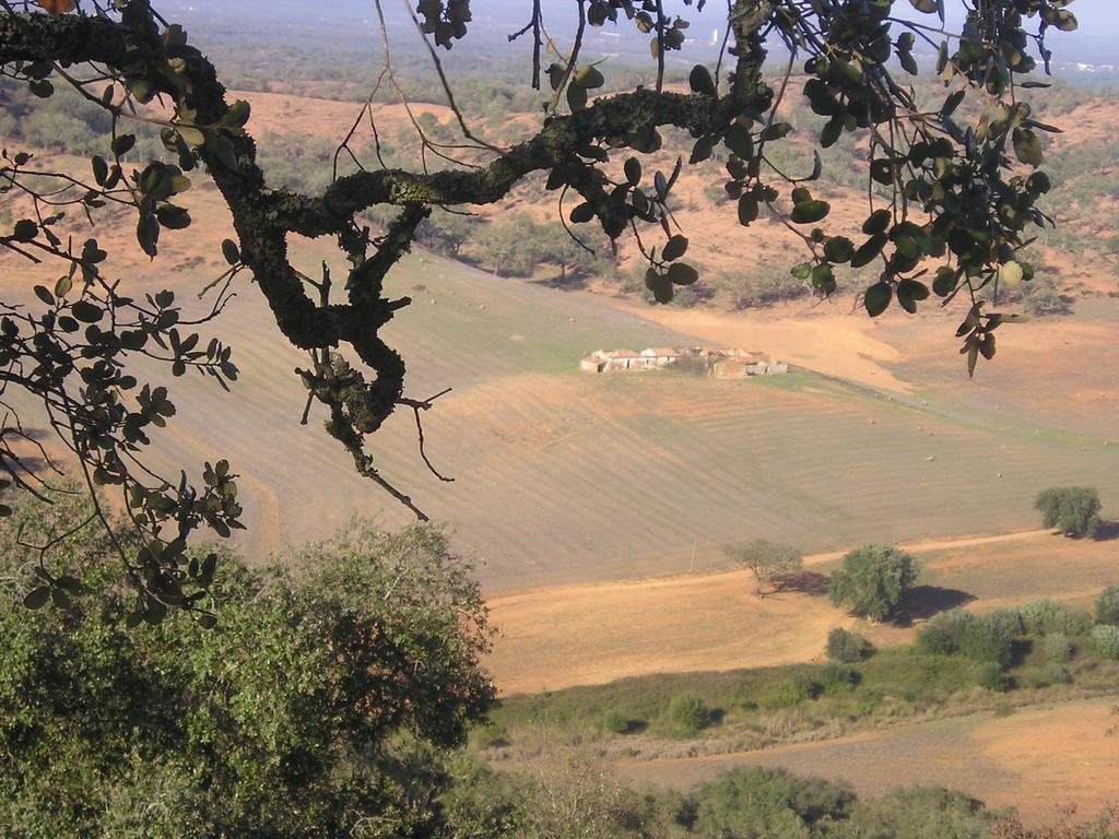 Apartamentos Bau-Doce Cercal do Alentejo Δωμάτιο φωτογραφία