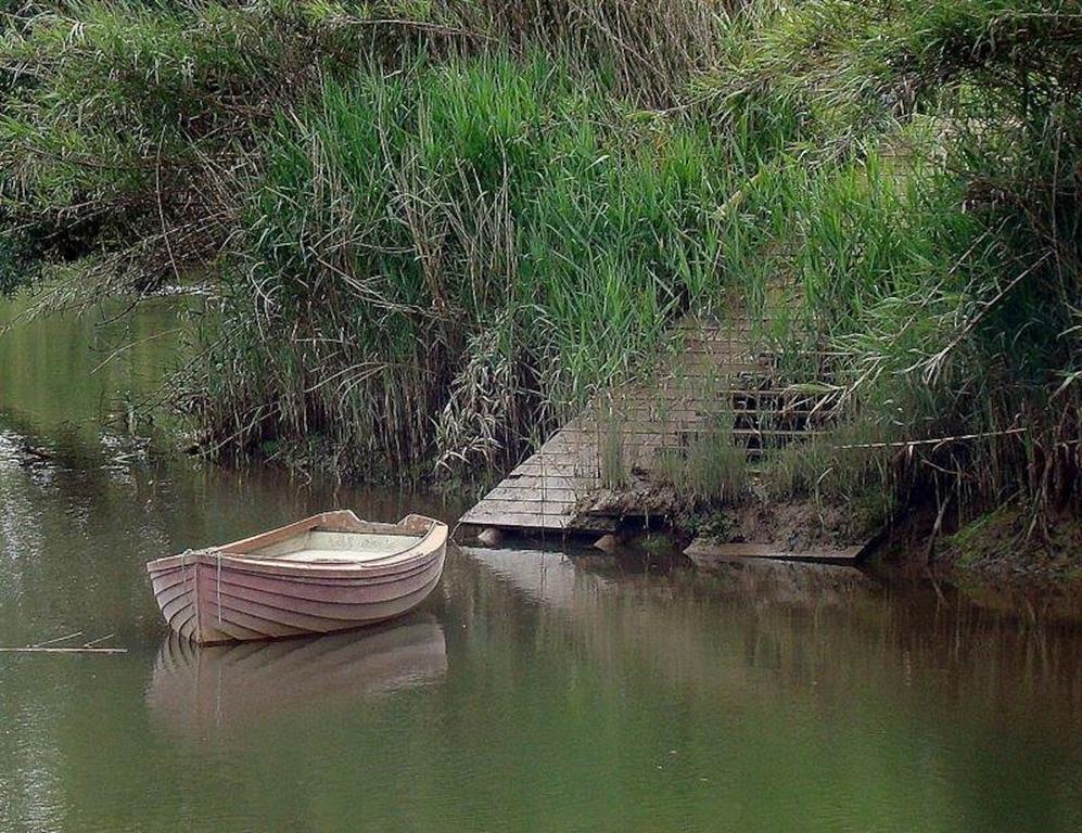 Apartamentos Bau-Doce Cercal do Alentejo Δωμάτιο φωτογραφία