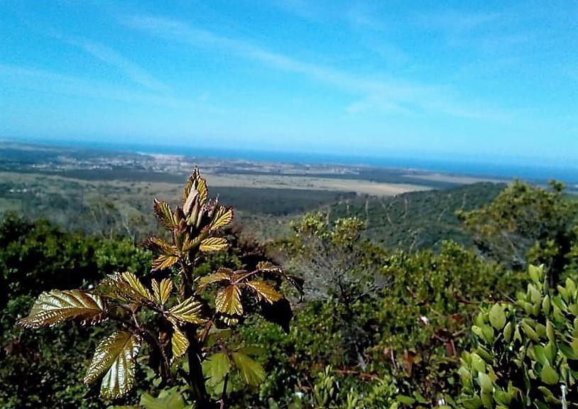 Apartamentos Bau-Doce Cercal do Alentejo Εξωτερικό φωτογραφία